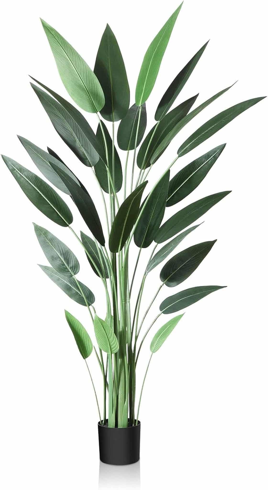 Avis : crosofmi canna lily tree 180cm déco tropicale intérieure et extérieure