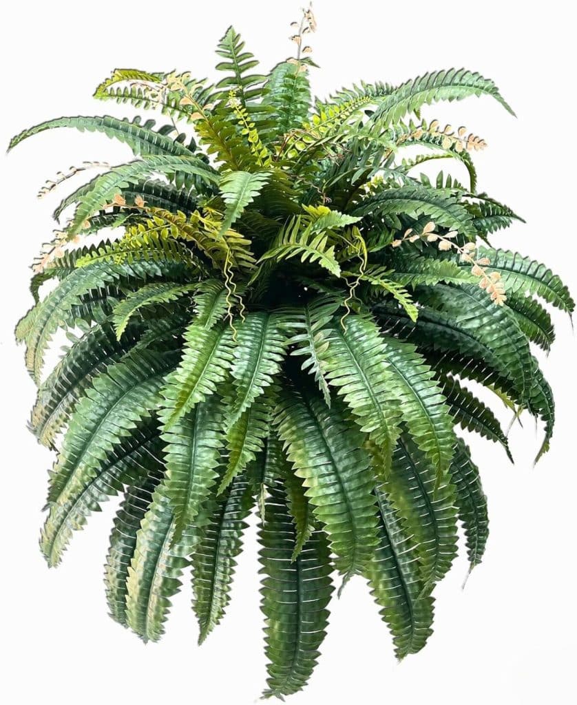 Avis sur la fougère de Boston géante NeosCA : ultra réaliste et résistante UV