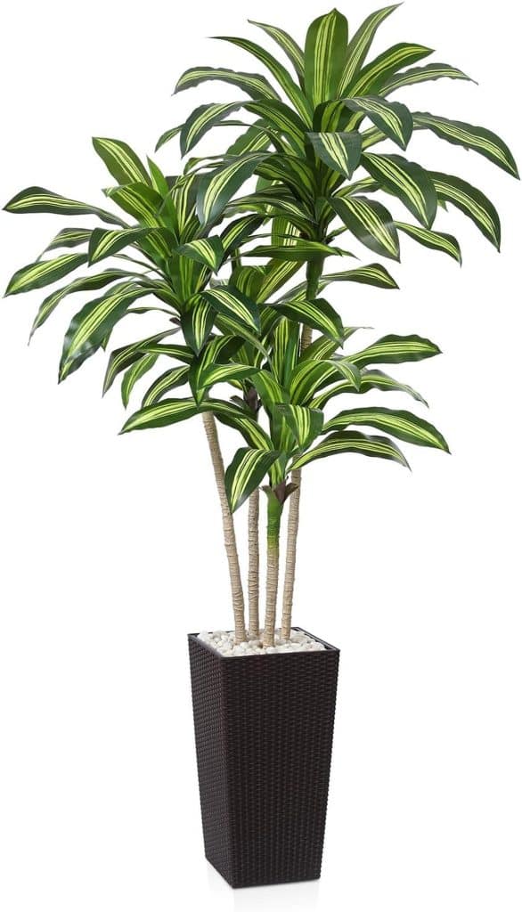 Avis sur l'arbre dragon artificiel Fopamtri 210 cm : exotisme chez vous