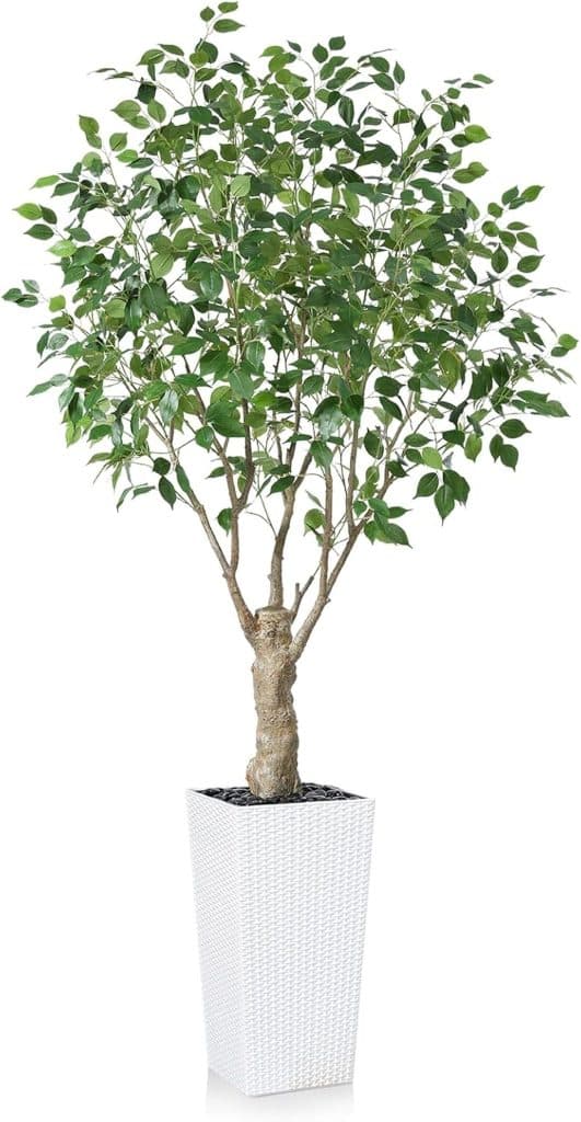 Test du ficus artificiel 210 cm Fopamtri : déco intérieure et extérieure