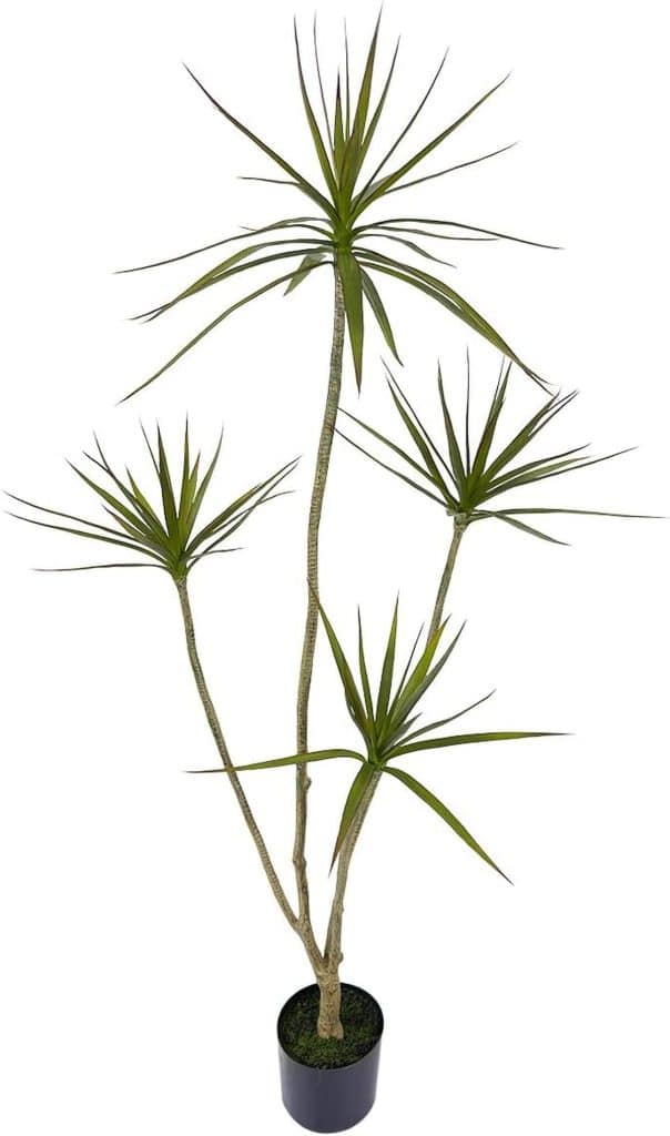 Avis sur la Dracaena artificielle AfanD de 1, 5 m pour intérieur