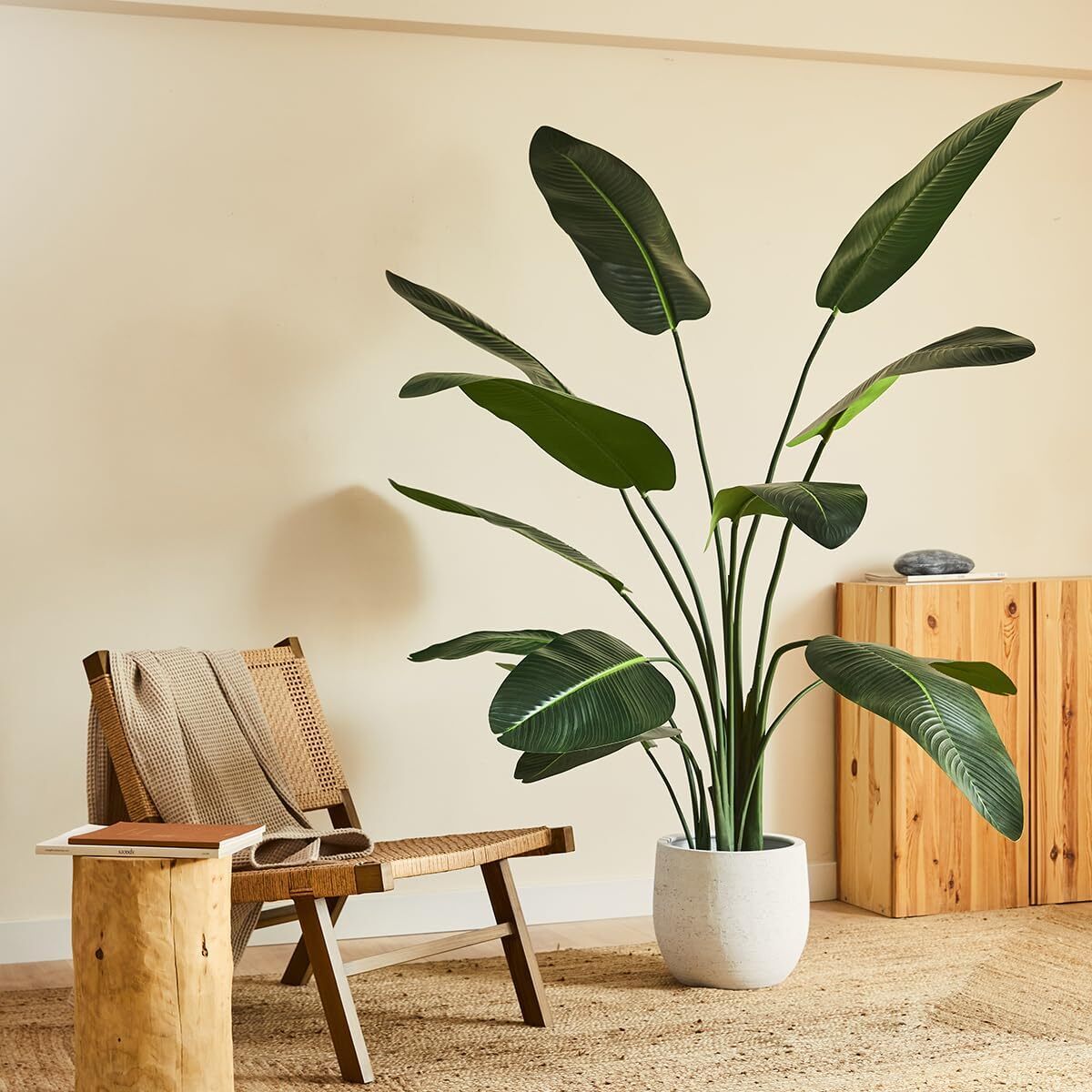 Avis sur la plante artificielle Blaine Strelitzia 190 cm