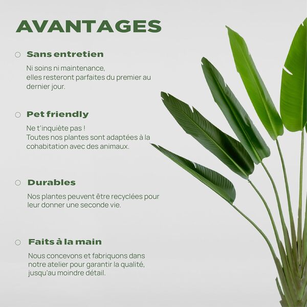 BLAINE | Strelitzia 180cm | Plantes Artificielles Interieur | Plantes Artificielles | Plante Artificielle Exterieur |Grande Plante Artificielle Interieur |Arbre Artificiel |Fausses Plantes