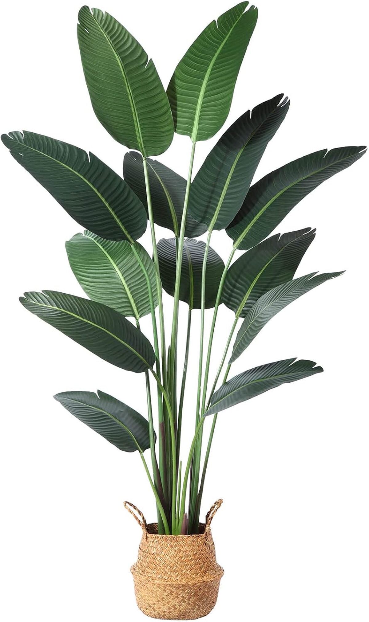 Avis Ferrgoal plante artificielle : oiseau du paradis 1, 8 m, élégance naturelle