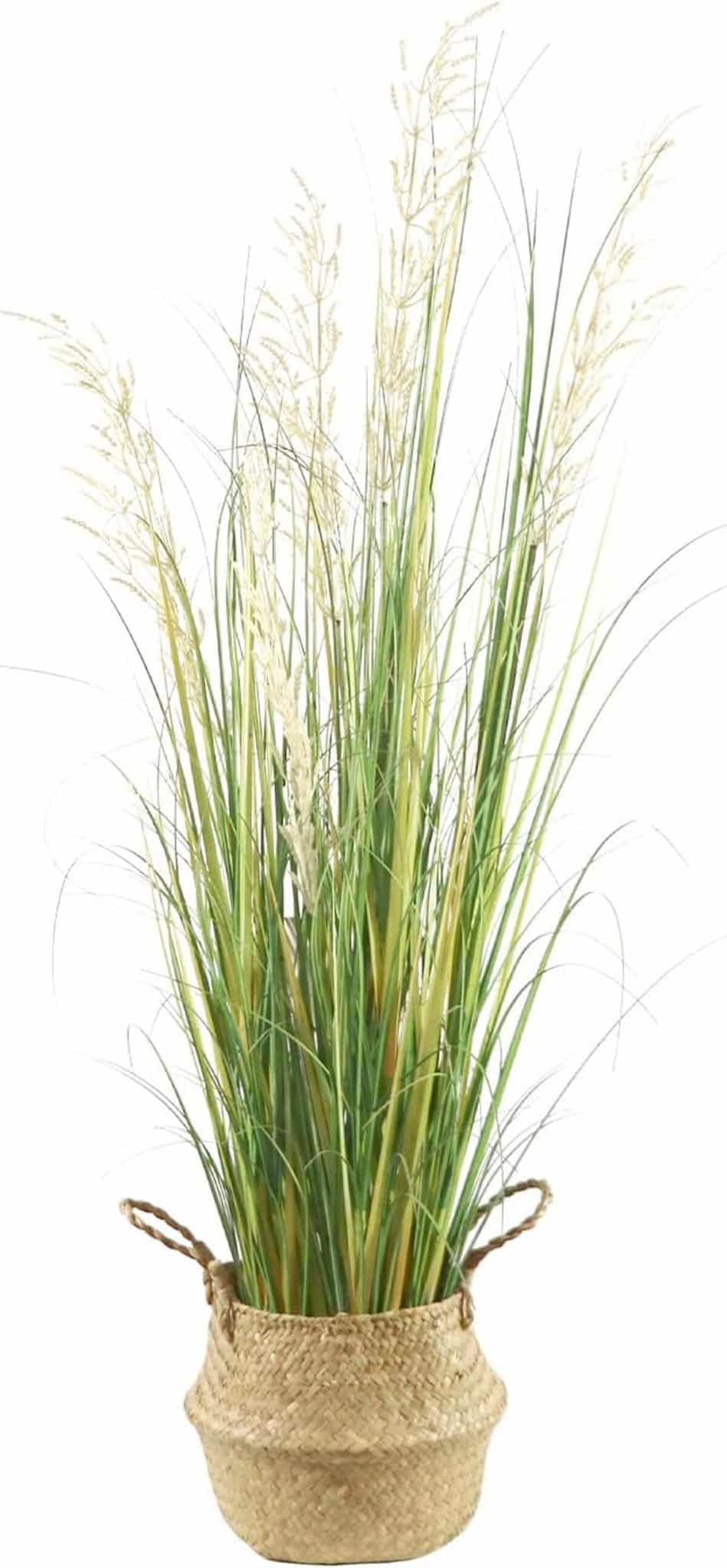 Avis sur la plante artificielle AfanD 1, 2 m