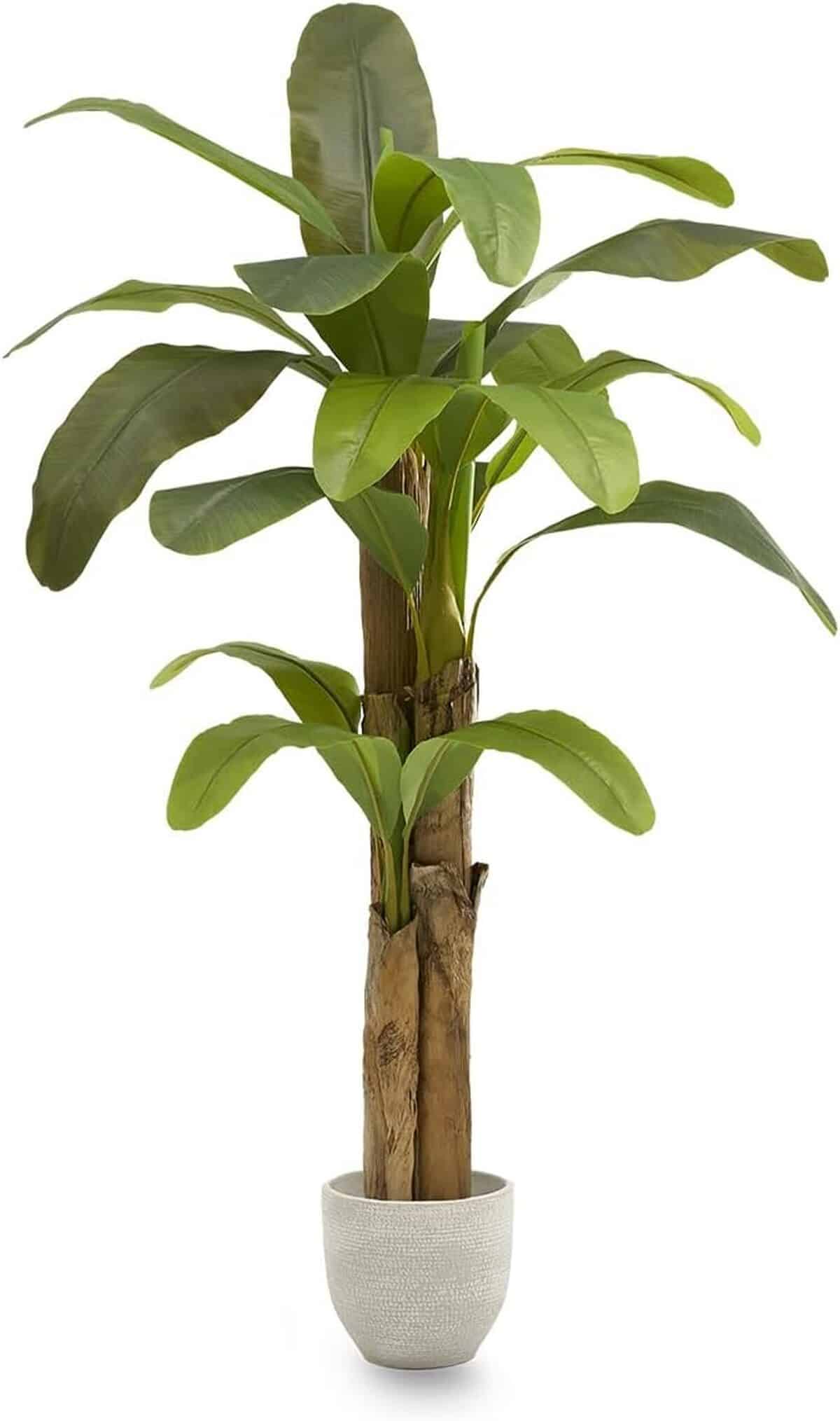 Avis sur le bananier artificiel 180 cm de Maia Shop : une déco bluffante