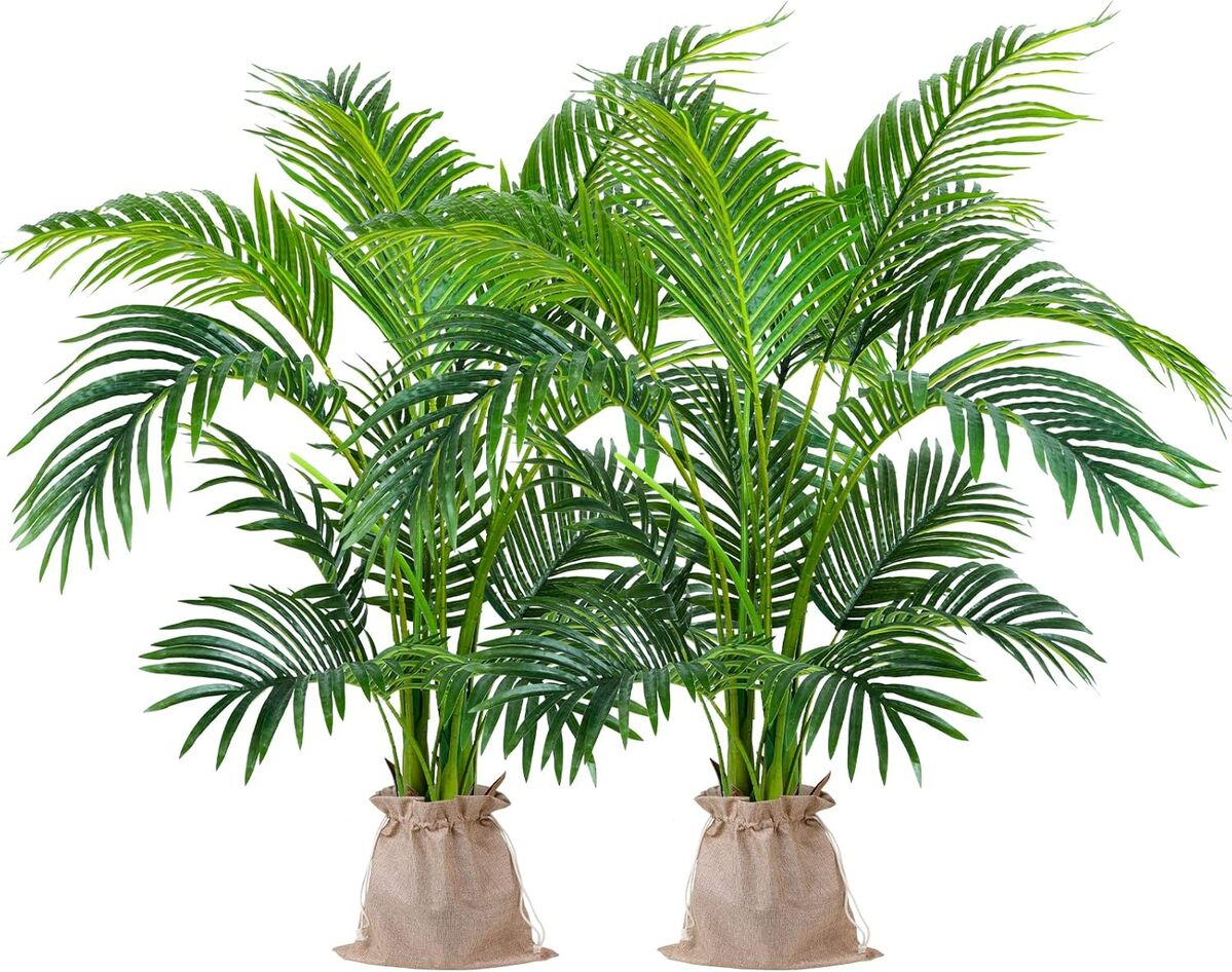 Test : plantes artificielles d'areca Worth