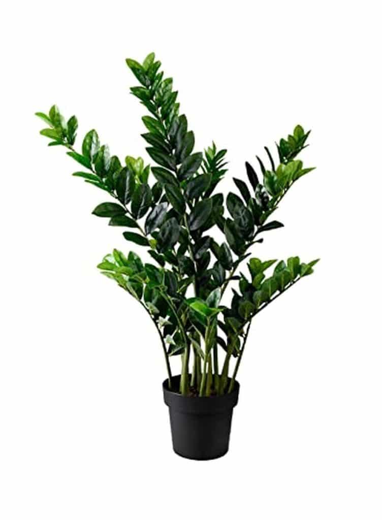 Avis sur la plante artificielle Serene Spaces Living Zamioculcas en pot